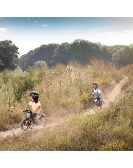 Correpasillos BERG Biky Trail Green Handbrake